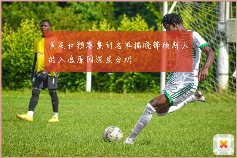 国足世预赛集训名单揭晓锋线新人的入选原因深度分析