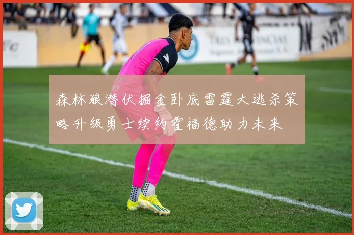森林狼潜伏掘金卧底雷霆大逃杀策略升级勇士续约霍福德助力未来